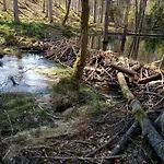 Holiday home Na Kaszubach, Borowy Mlyn, Jezioro Gwiazda, Sauna, 3
