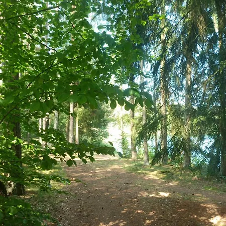 Na Kaszubach, Borowy Mlyn, Jezioro Gwiazda, Sauna, 3 Borowy Mlyn