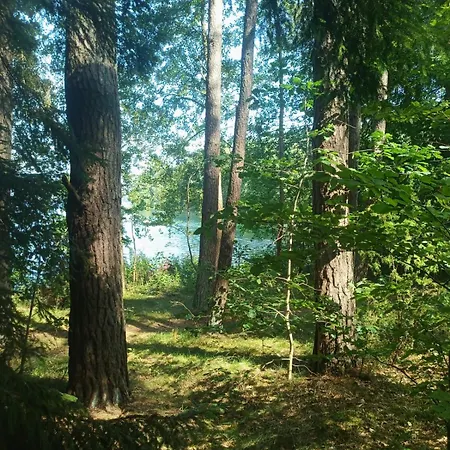 別荘 Na Kaszubach, Borowy Mlyn, Jezioro Gwiazda, Sauna, 3