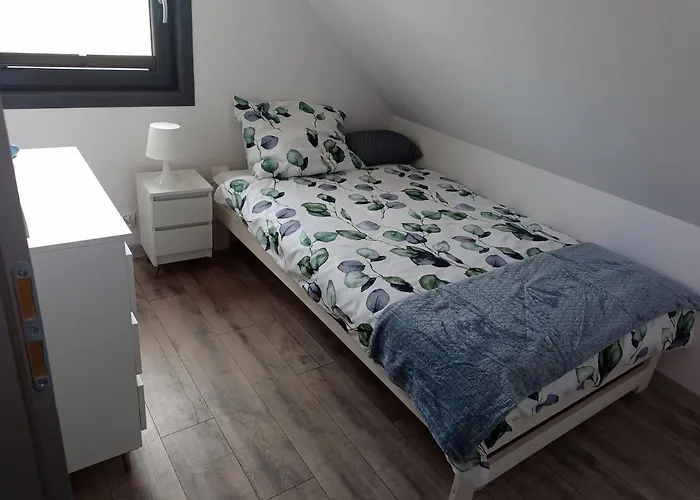 Tatil Evi Na Kaszubach, Borowy Mlyn, Jezioro Gwiazda, Sauna, 3 *