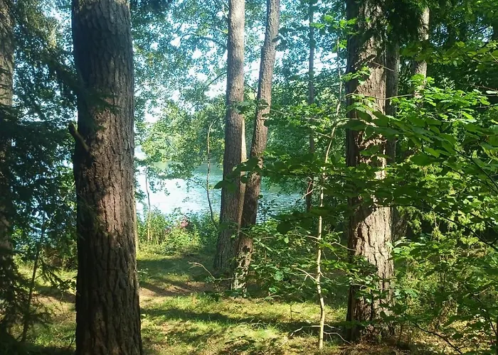 Tatil Evi Na Kaszubach, Borowy Mlyn, Jezioro Gwiazda, Sauna, 3